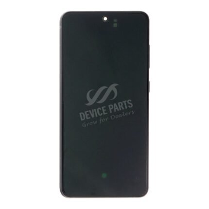 Screen Replacement With Frame for Samsung Galaxy S21 FE 5G G990 G990B European Version Gray Ori