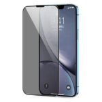 JOYROOM JR-PF016 2.5D Privacy Anti-Glare Silk Screen Full Screen Tempered Glass Screen Protector with Anti-Dust Mesh for iPhone 11 Pro Black